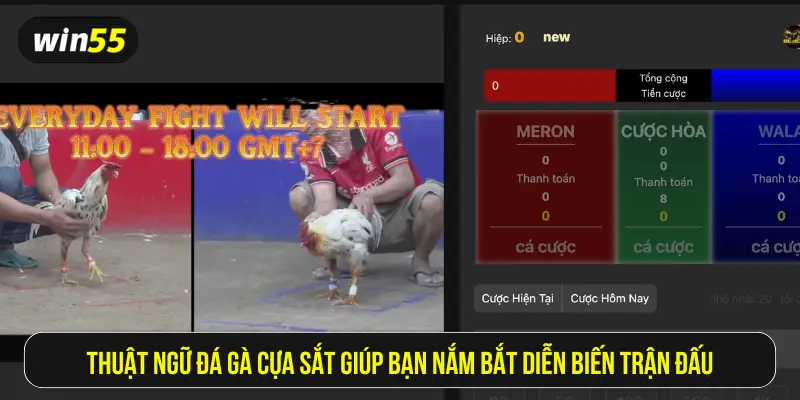 Thuật ngữ đá gà cựa sắt giúp bạn nắm bắt diễn biến trận đấu